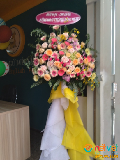 Hình thực tế