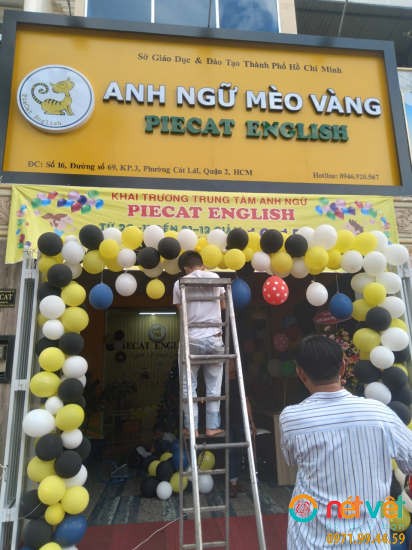 Hình thực tế