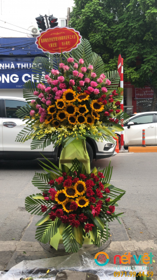 Hình thực tế
