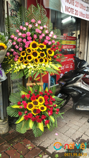Hình thực tế