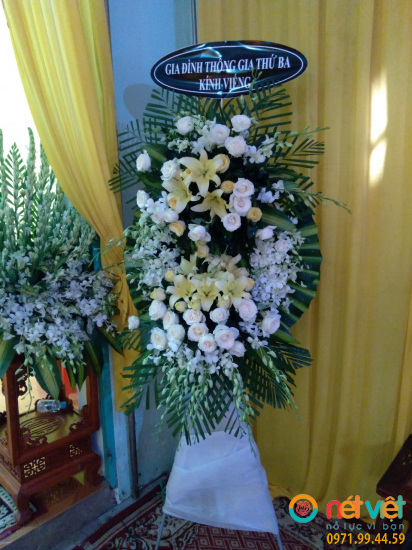 Hình thực tế