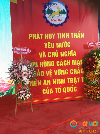 Hình thực tế