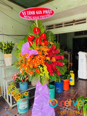 Hình thực tế