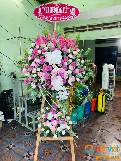 Hình thực tế
