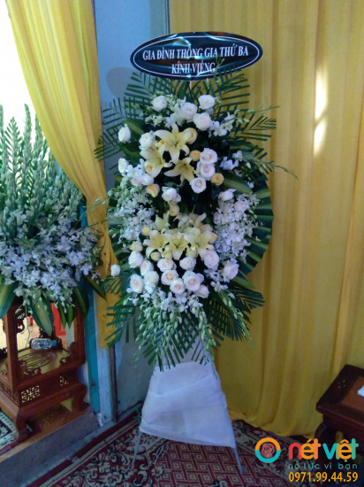 Hình thực tế