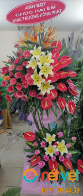 Tương lai rực rỡ - K510