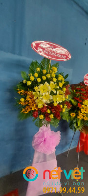 Ngày càng thành công