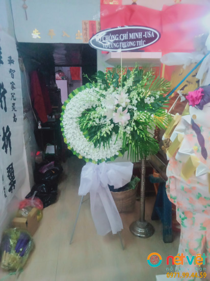 Hình thực tế