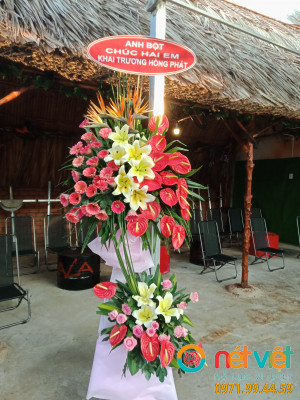 Tương lai rực rỡ - K510