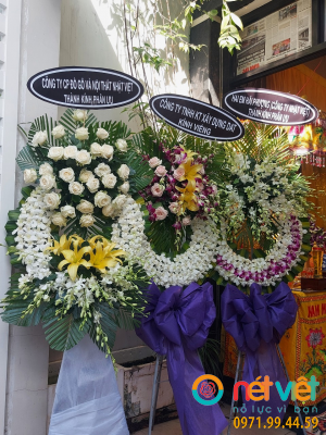 hinh-anh