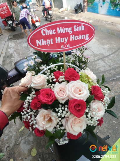 Hình thực tế