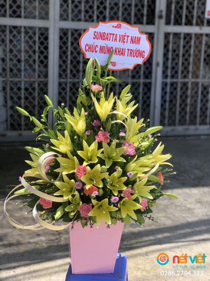 Hình thực tế