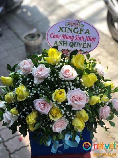 Hình thực tế