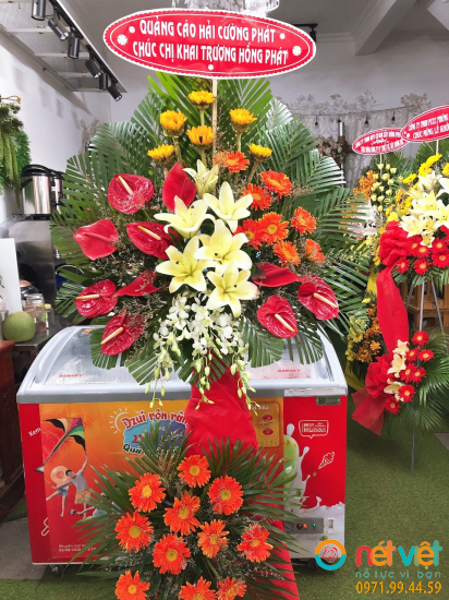 Hình thực tế