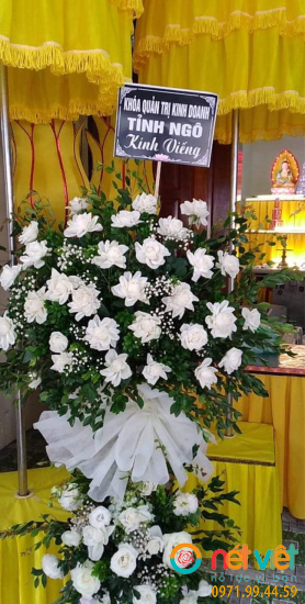 Hình thực tế