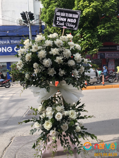 Hình thực tế