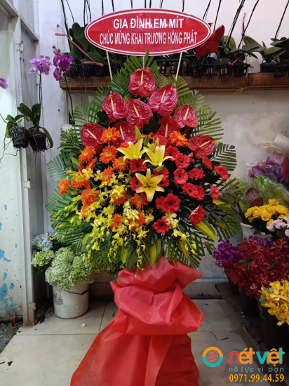 Hình thực tế