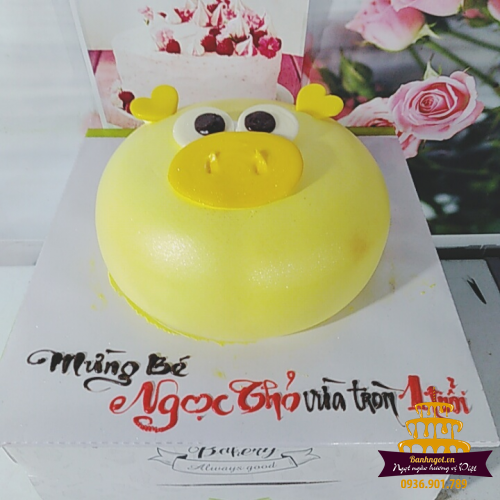 Hình thực tế