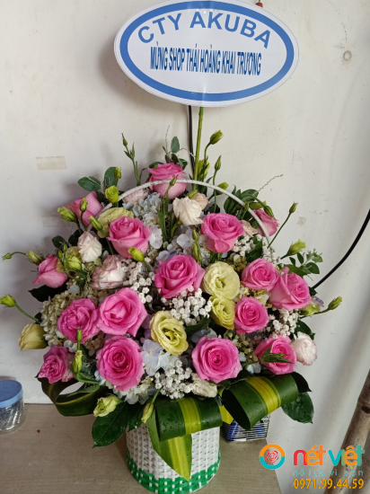 Hình thực tế