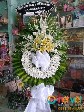 Hình thực tế