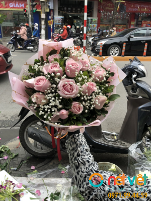 Hồng phấn