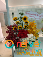 Vươn lên