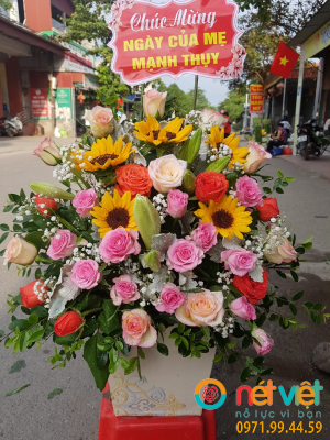 giỏ mẫu