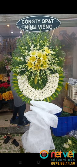 Hình thực tế