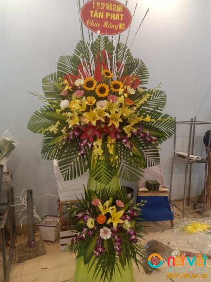 Hình thực tế
