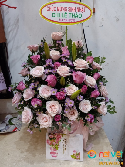 Hình thực tế