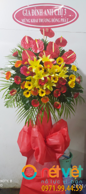 Ngày càng thành công