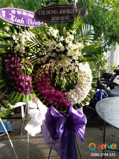 Hình thực tế
