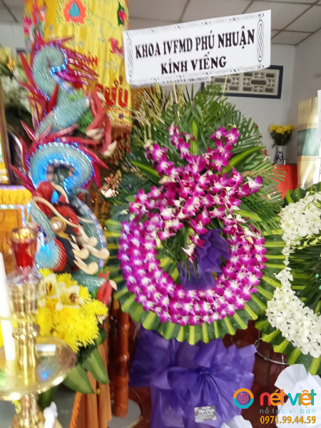 hinh-anh