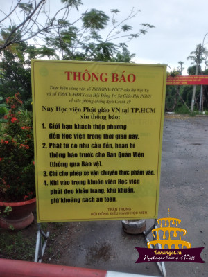 hinh-anh