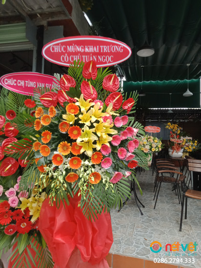 Hình thực tế