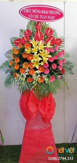 Hình thực tế