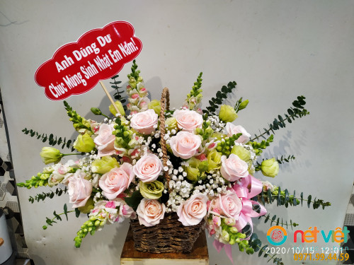 Hình thực tế