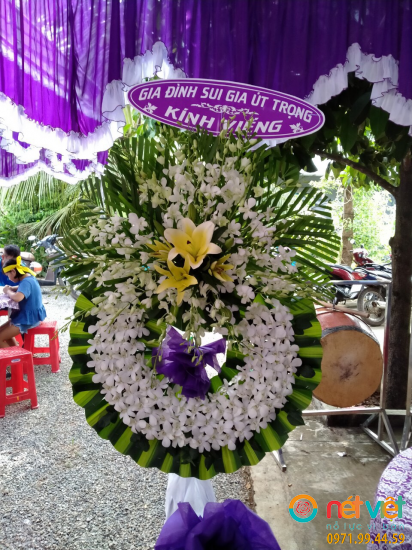 Hình thực tế