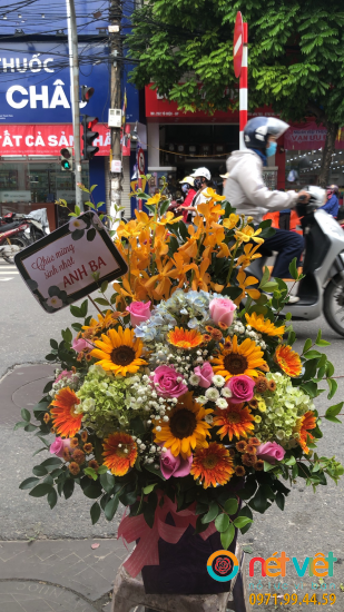 Hình thực tế