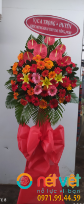 Ngày càng thành công
