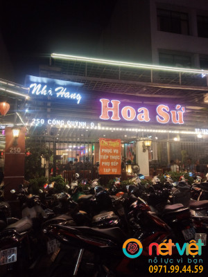 Hướng dương & lá bạc