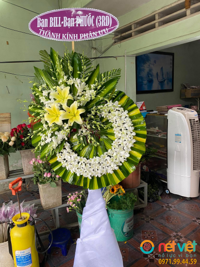 Hình thực tế
