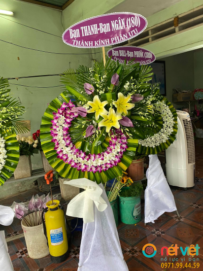 Hình thực tế