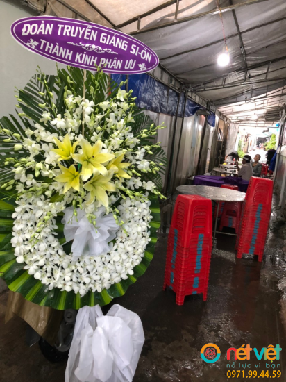 Hình thực tế
