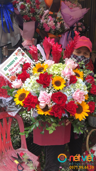 Hình thực tế