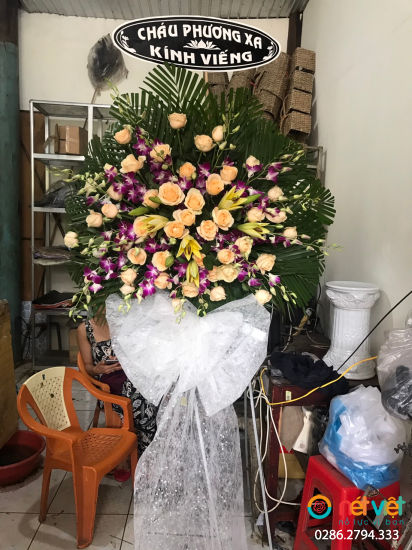 Hình thực tế