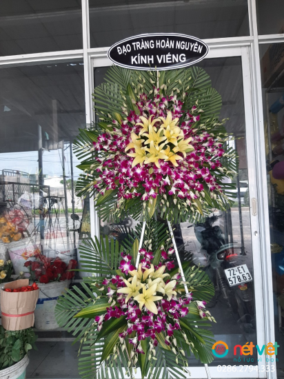 Hình thực tế