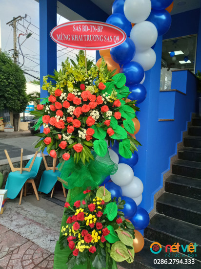 Hình thực tế