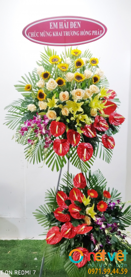 Hình thực tế