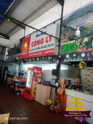 hinh-anh